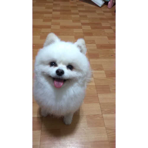 謝謝