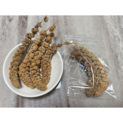 ✔️現貨 倉鼠【粟米穗/紅米穗】 20g袋裝 （三線鼠、黃金鼠、一線鼠、天竺鼠、睡鼠、蜜袋鼯、鸚鵡）