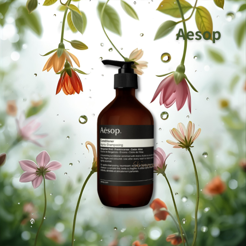 Aesop伊索 潤髮乳 500ml