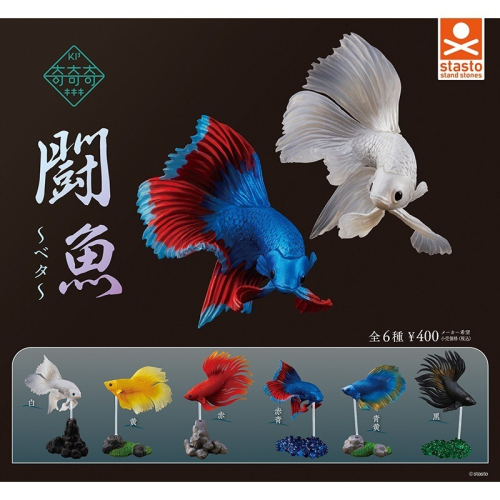 『現貨』鬥魚~Betta~ Standstones 扭蛋 轉蛋 【蛋樂寶】