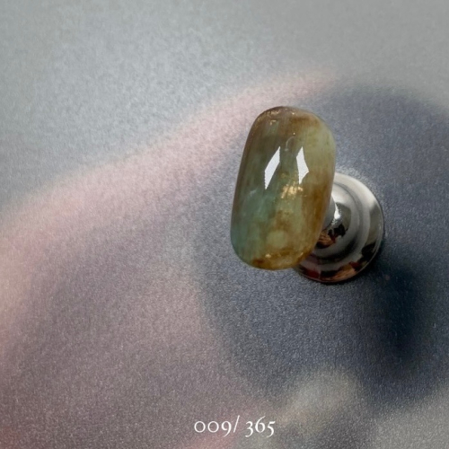 009/ 365 DAYS PLAN 穿戴甲 - tYF nail