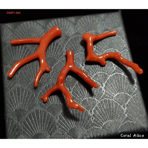 ?Coral珊寶手作-天然沙丁珊瑚自然枝(無孔) 36.3-40.1mm CO2P1-204