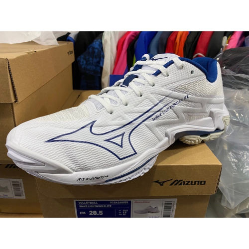 （羽球世家）美津濃 MIZUNO排球鞋 高階選手款 白底