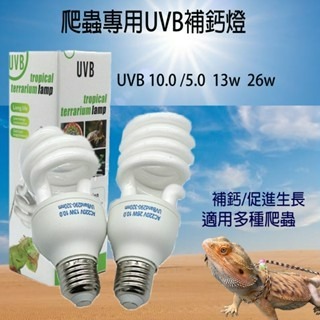 UVB 燈泡 爬寵 爬蟲補鈣燈泡 UVA UVB10.0 5.0 26W 13W 標準尺寸