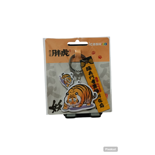 我不是胖虎 妖魔退散 iCash2.0