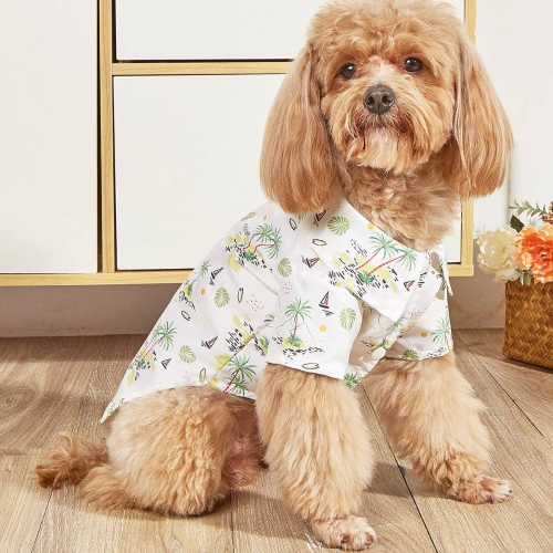 【易立購商號】台灣現貨 新款寵物衣服 狗狗襯衫 寵物夏季衣服 貓咪狗狗衣服 輕薄透氣服飾 薄款印花寵物襯衫