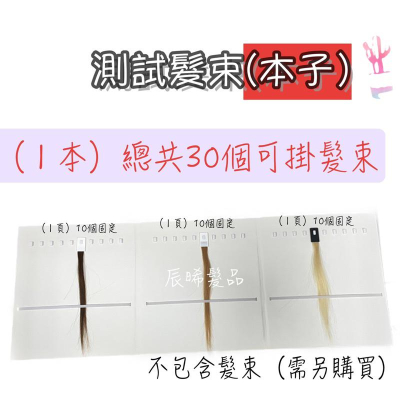 ✝️辰晞髮品✝️ 髮束 髮束本子 髮色本 測試髮色 討論髮色 色卡 髮束定位卡 色卡本 色彩大師 髮條 染髮髮束